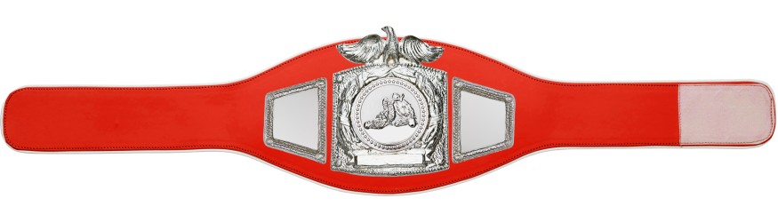 PROEAGLE JIU JITSU CHAMPIONSHIP BELT - PROEAGLE/S/JJS - AVAILABLE IN 6+ COLOURS PROEAGLE JIU JITSU CHAMPIONSHIP BELT - PROEAGLE/S/JJS - AVAILABLE IN 6+ COLOURS